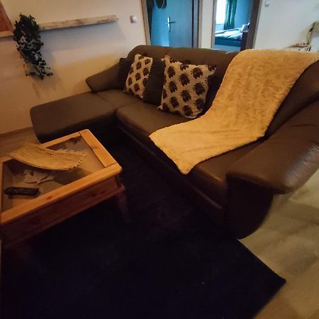 Ferienwohnung Zum Getreidelager Schwarzenbach an der Saale Екстериор снимка